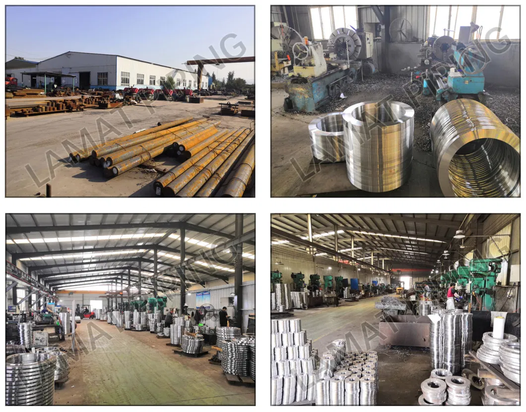 China-Factory-High-Quality Carbon Steel CS Mild Steel Ms Casting Steel Flange