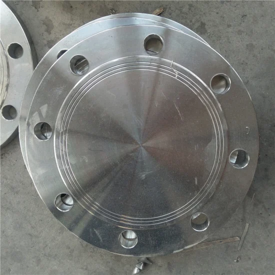 Flange ANSI DIN 304 Stainless Steel Industrial Standard 12 Inch Pipe Flange